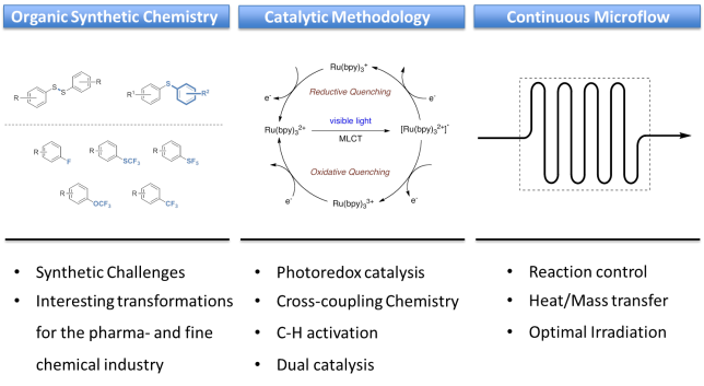 Overview of research in Noël Research Group