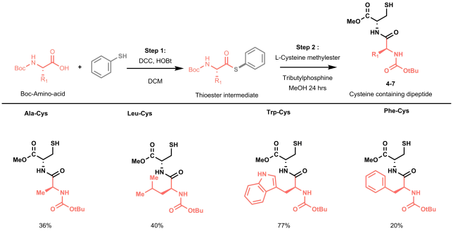 Figure 4: A schematic representation of the two-step synthesis required for the preparation of a small library of dipeptides via native chemical ligation. Yields reported refer to the overall two-step yields.