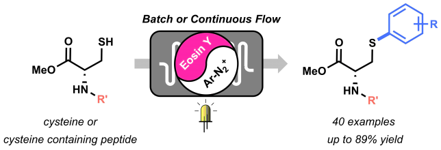 Graphical abstract of “visible light-mediated arylation of cysteine”